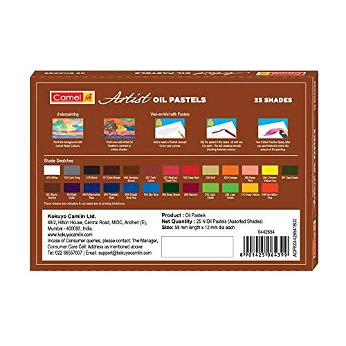 Camlin Kokuyo Artist Oil Pastels 25 Shades (Multicolor)